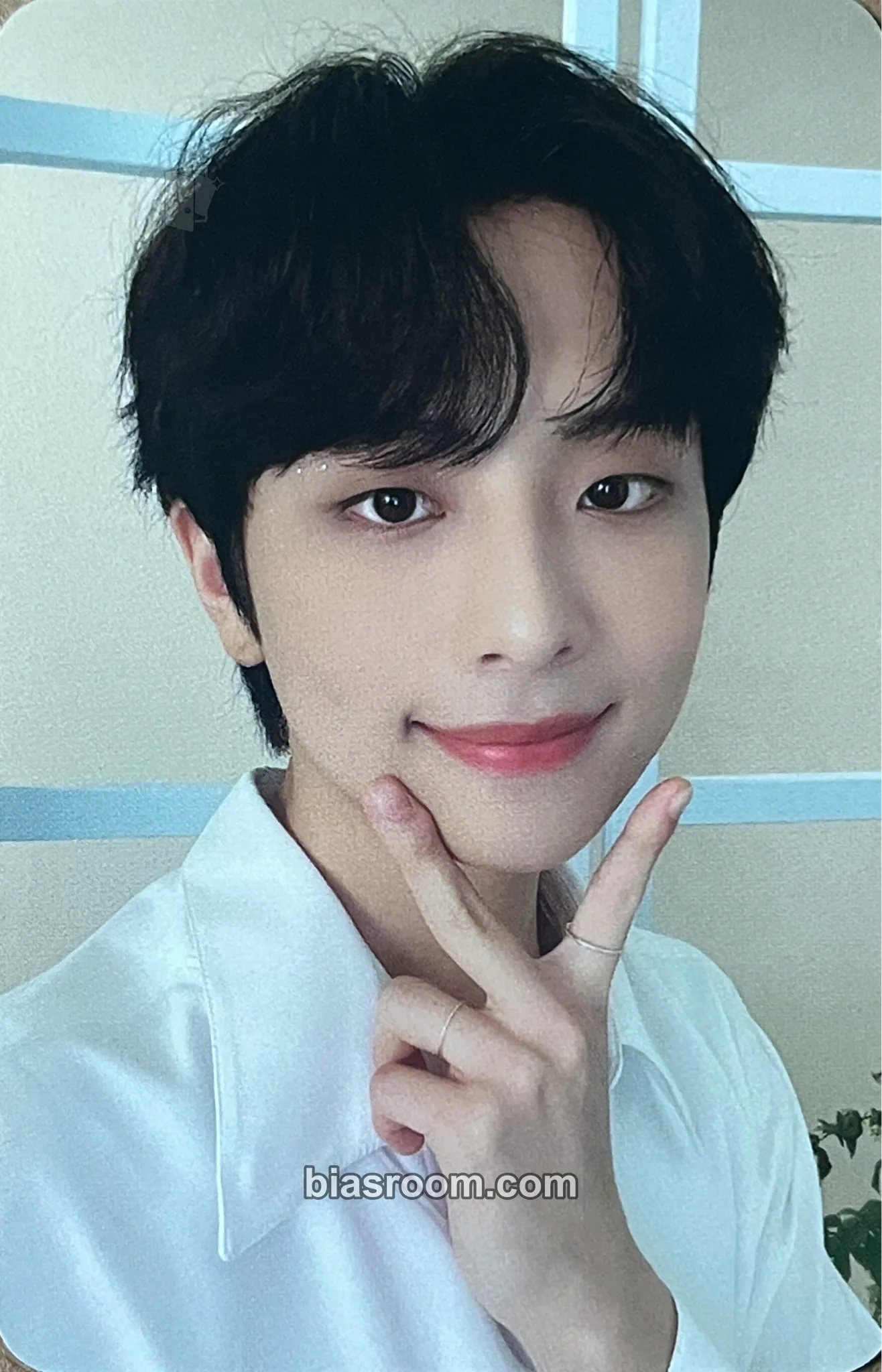Sihun THE INTERSECTION: DISCOVERY Photocard - BDC - BDC K-pop photocard