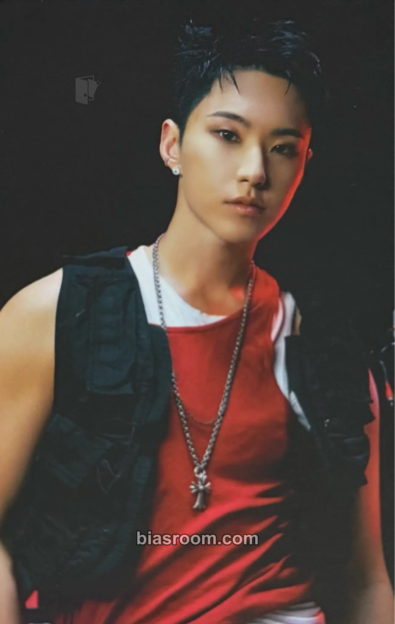 Hoshi HxW - WARNING Photocard - SEVENTEEN - SEVENTEEN K-pop photocard