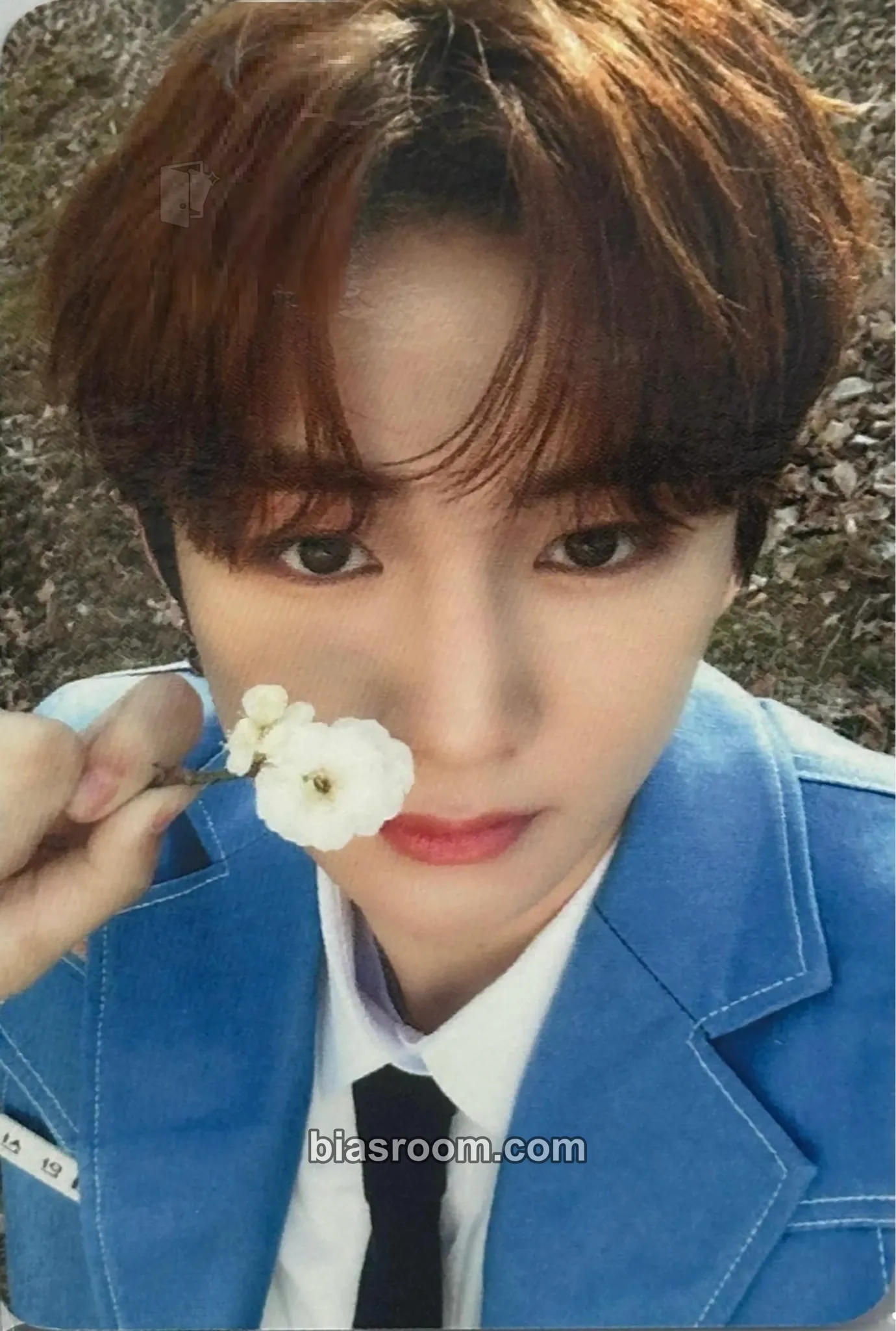 Anxin MAKEMATE1 Photocard - ALPHA DRIVE ONE - ALPHA DRIVE ONE K-pop photocard