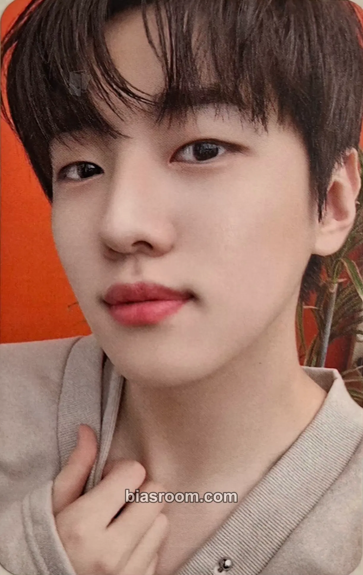 Jaechan JCFACTORY (Jaechan) Photocard - DKZ - DKZ K-pop photocard