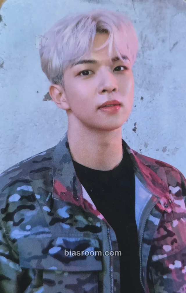 N.Flying - Hweseung - Official Lightstick V1 Other