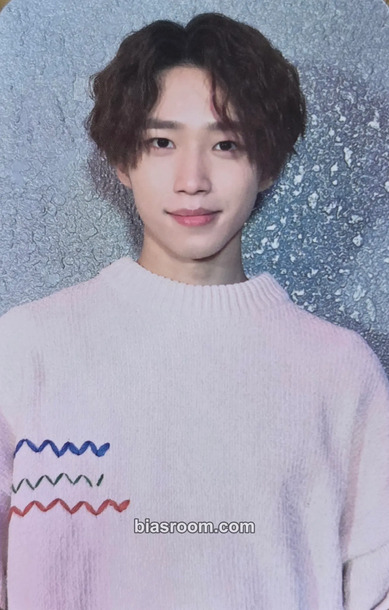 Dongsung Official Lightstick V1 Photocard - N.Flying - N.Flying K-pop photocard