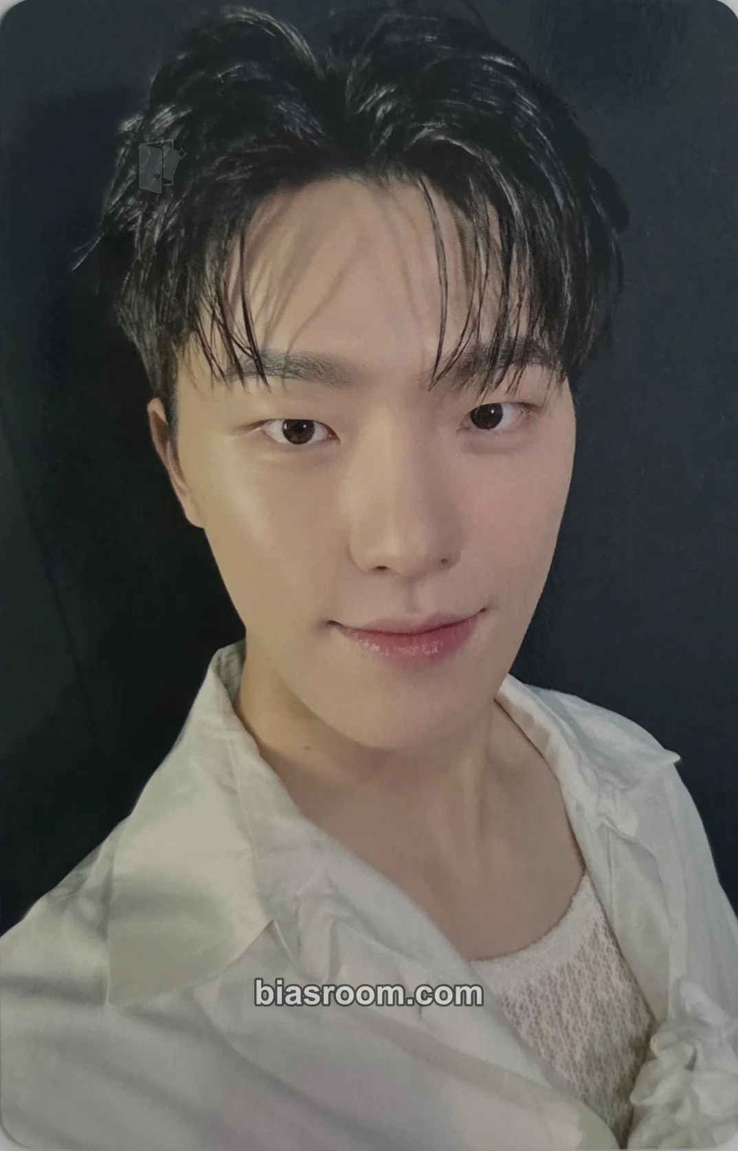 Dino Spill the Feels Photocard - SEVENTEEN - SEVENTEEN K-pop photocard