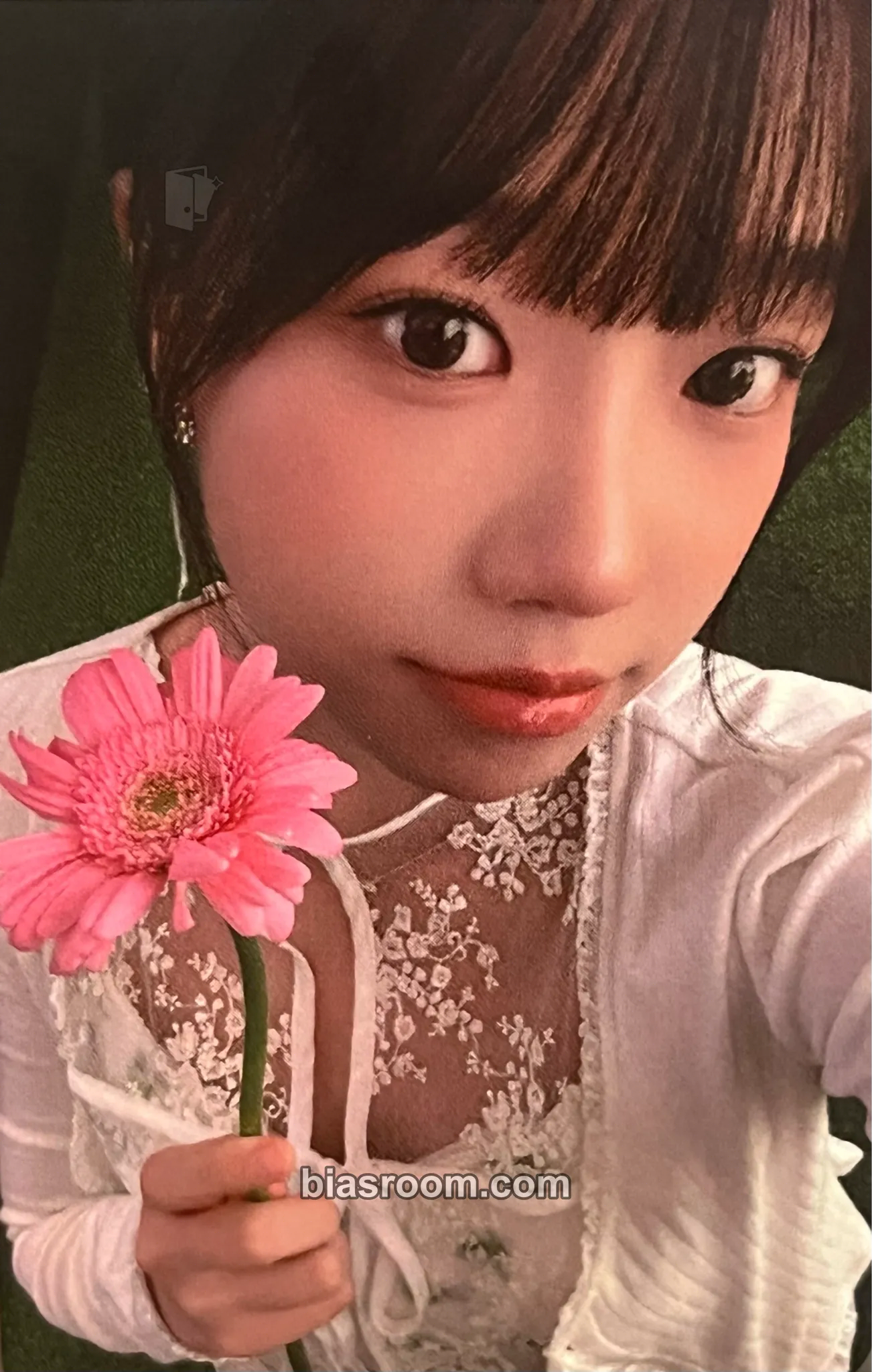 Jo Yuri SEASON’S GREETINGS 2026 - 365 Days with YO(U)RI Photocard - Jo Yuri K-pop photocard