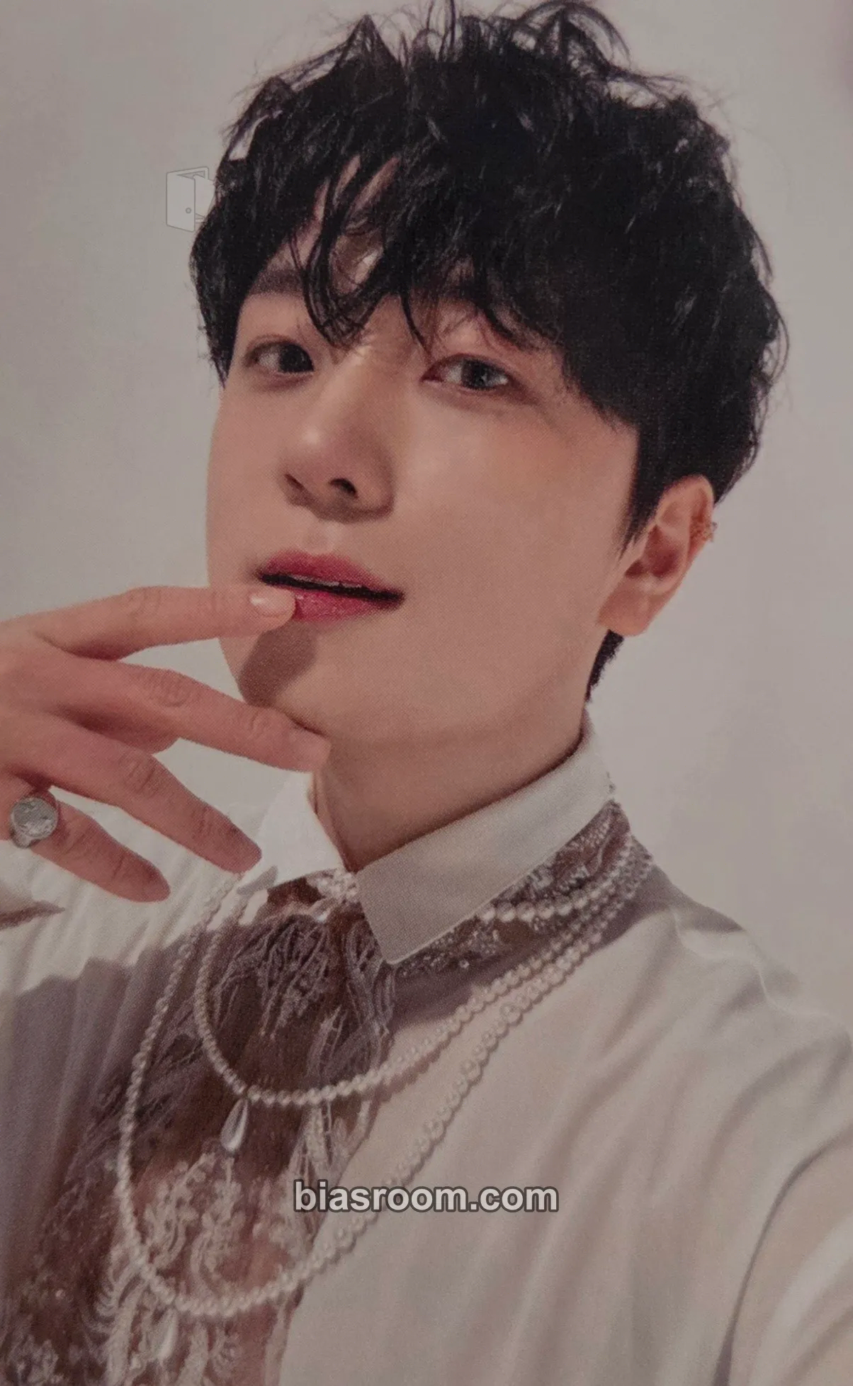 Woorim The Beginning : World Tree Photocard - Forestella - Forestella K-pop photocard