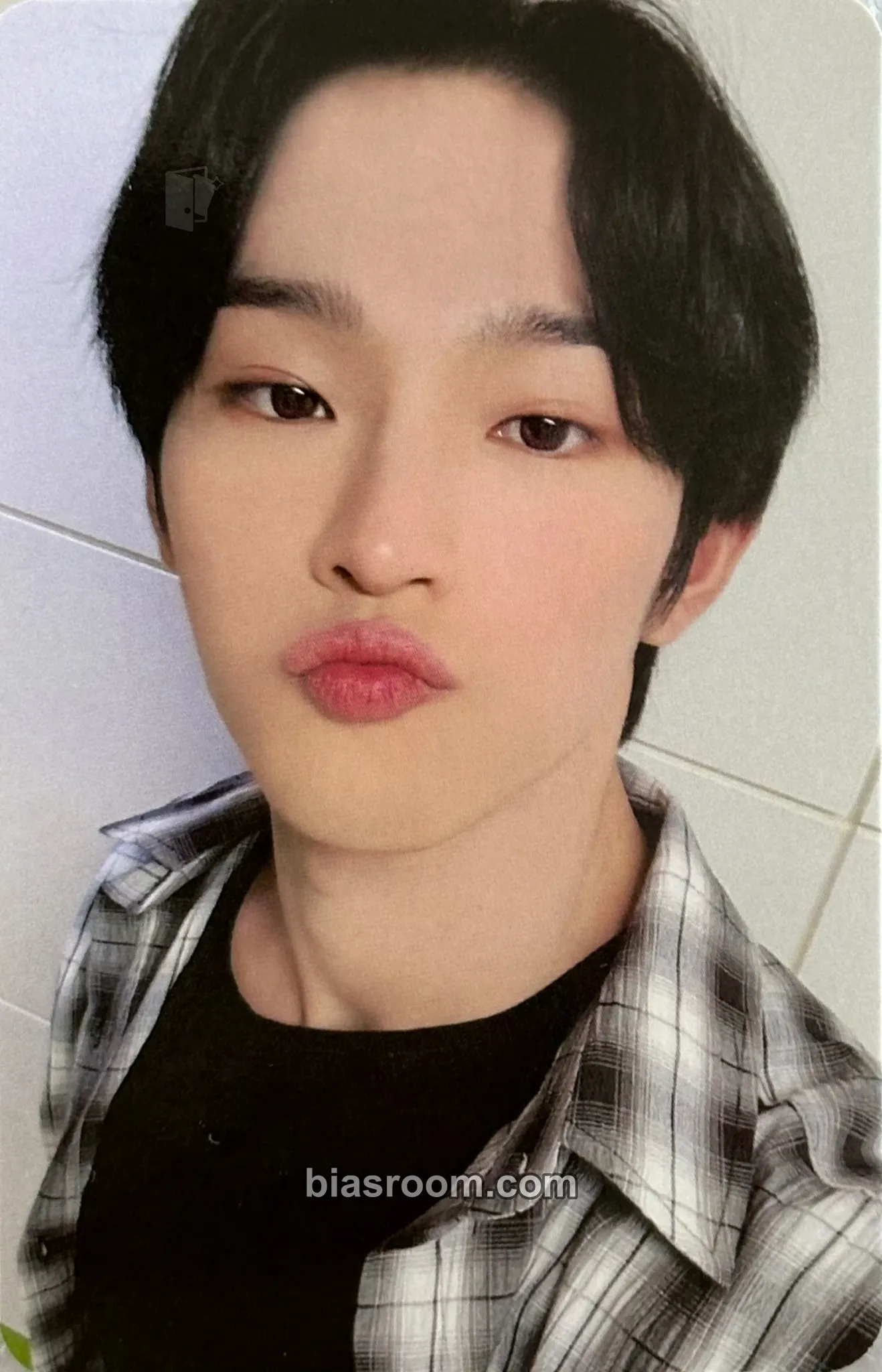 Leedo MALUS Photocard - ONEUS - ONEUS K-pop photocard