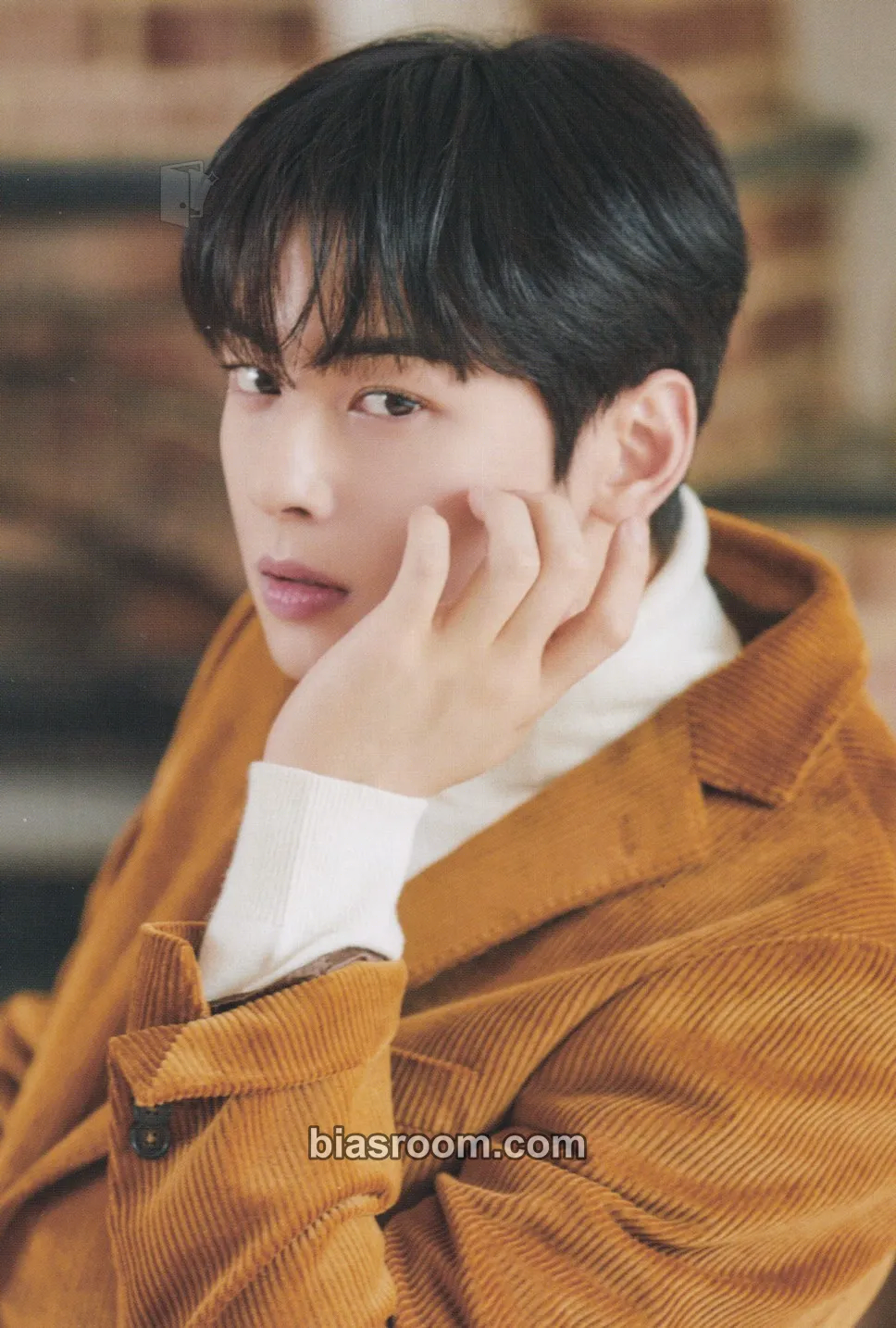 Cha Eun-woo ASTRO & ROROHA Lovely Christmas Pop Up 2020 in Japan Photocard - ASTRO - ASTRO K-pop photocard