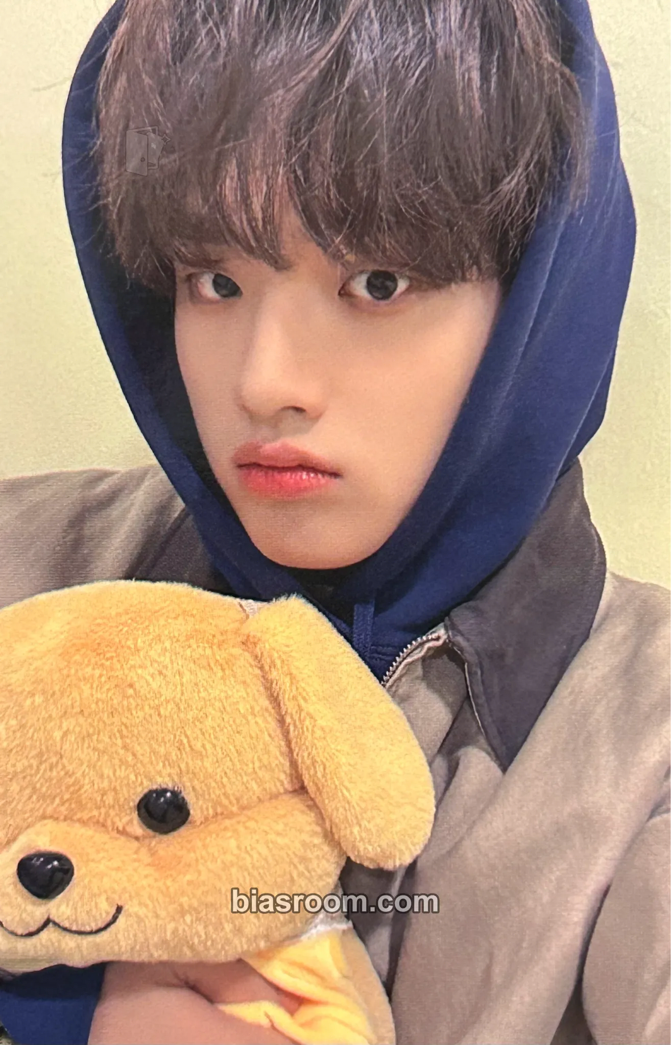 Yechan Season’s Greetings 2025 Photocard - TRENDZ - TRENDZ K-pop photocard
