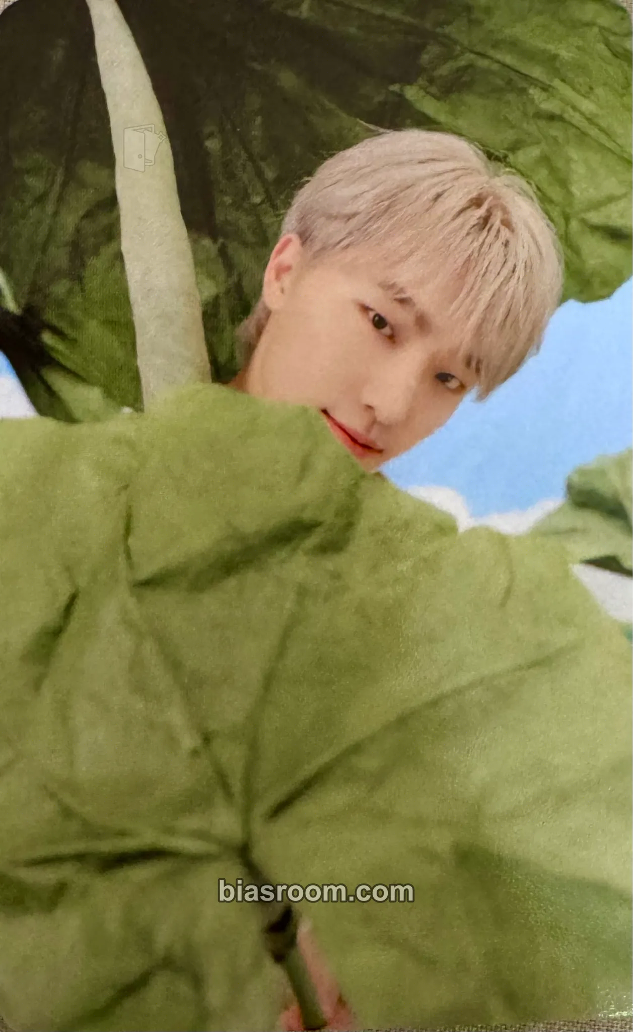 Dino Seventeenth Heaven Photocard - SEVENTEEN - SEVENTEEN K-pop photocard