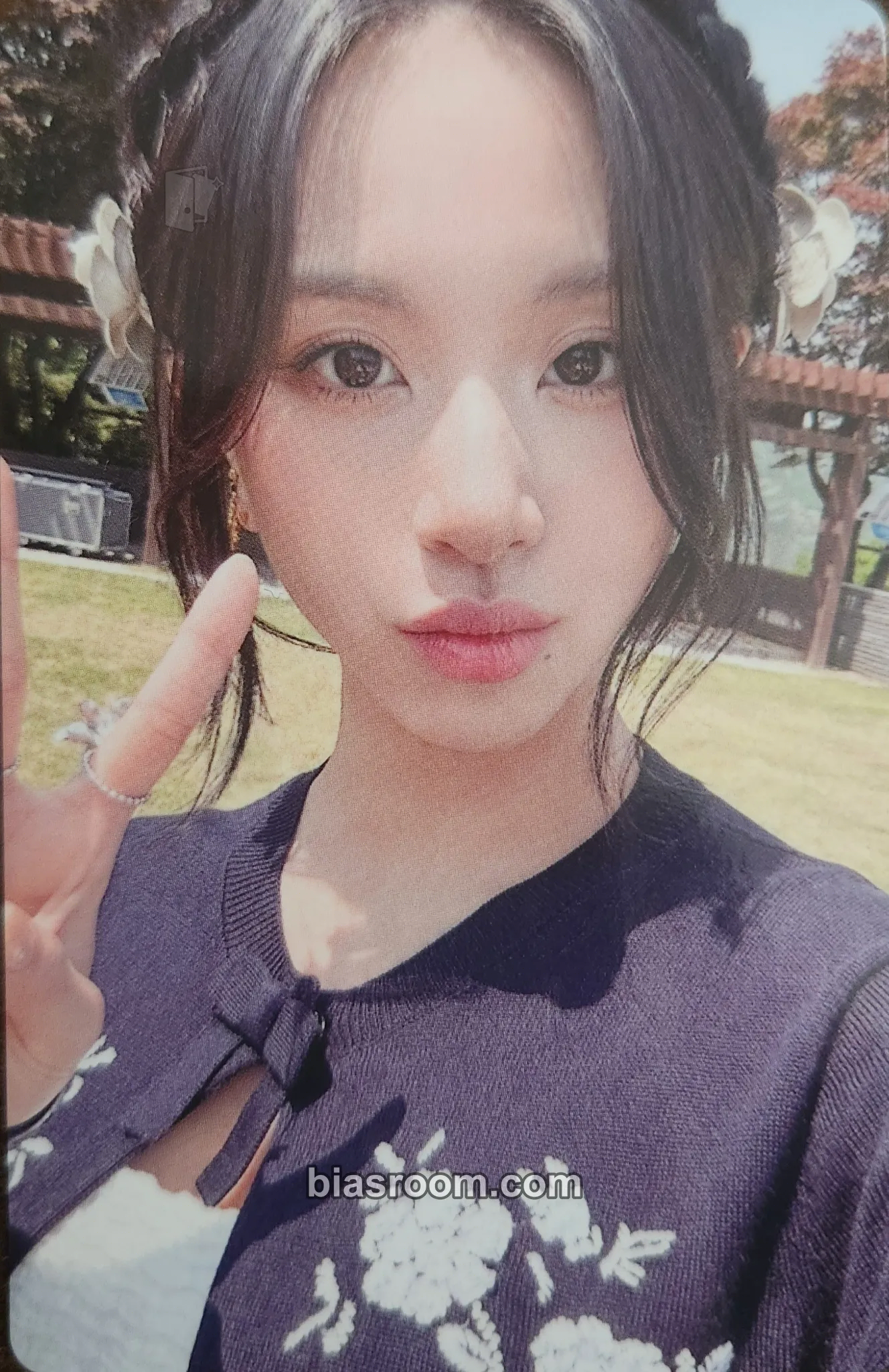 Chaeyoung TWICE Japan Debut 7th Anniversary Photocard - TWICE - TWICE K-pop photocard
