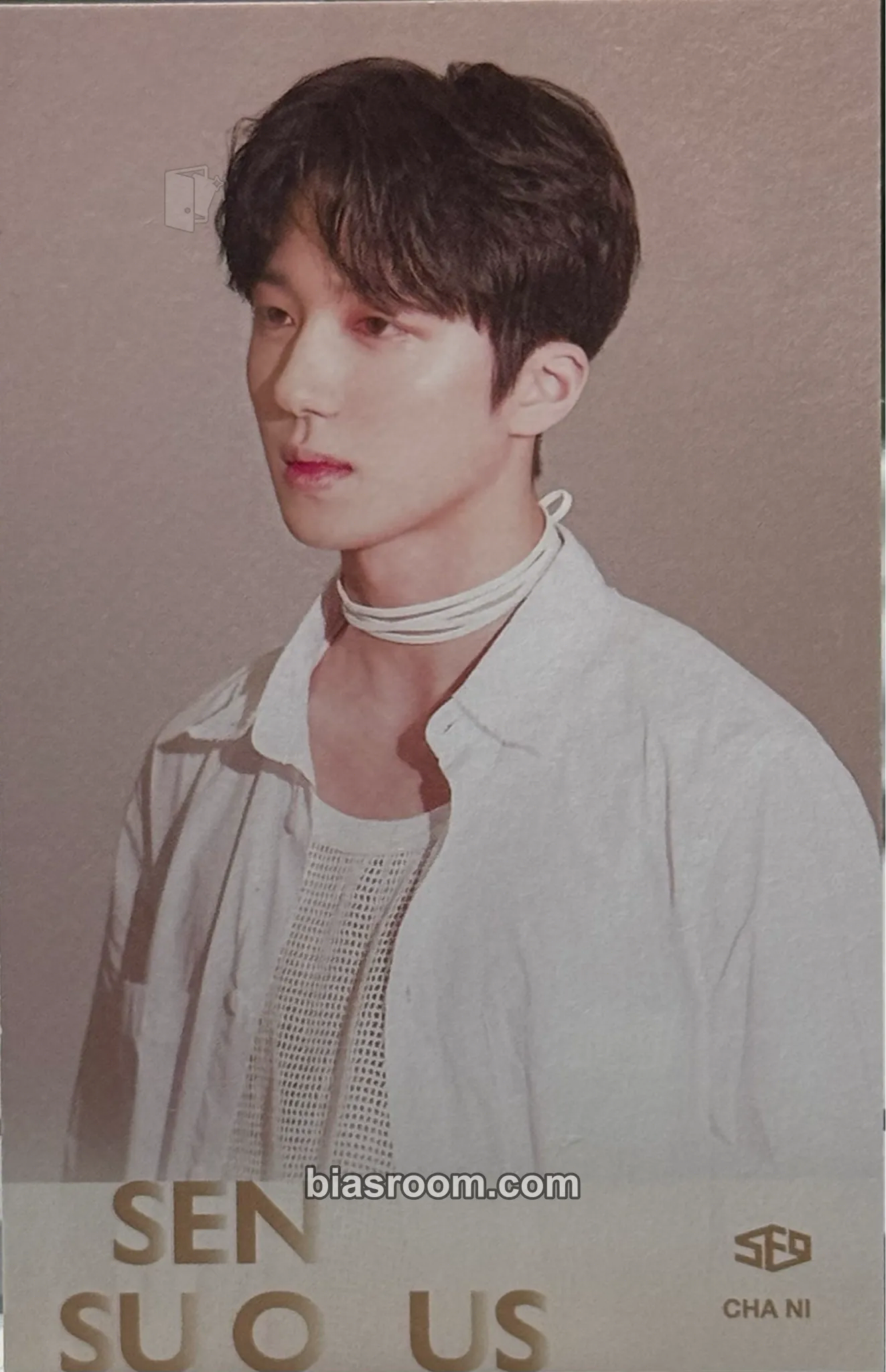 Chani Sensuous Photocard - SF9 - SF9 K-pop photocard