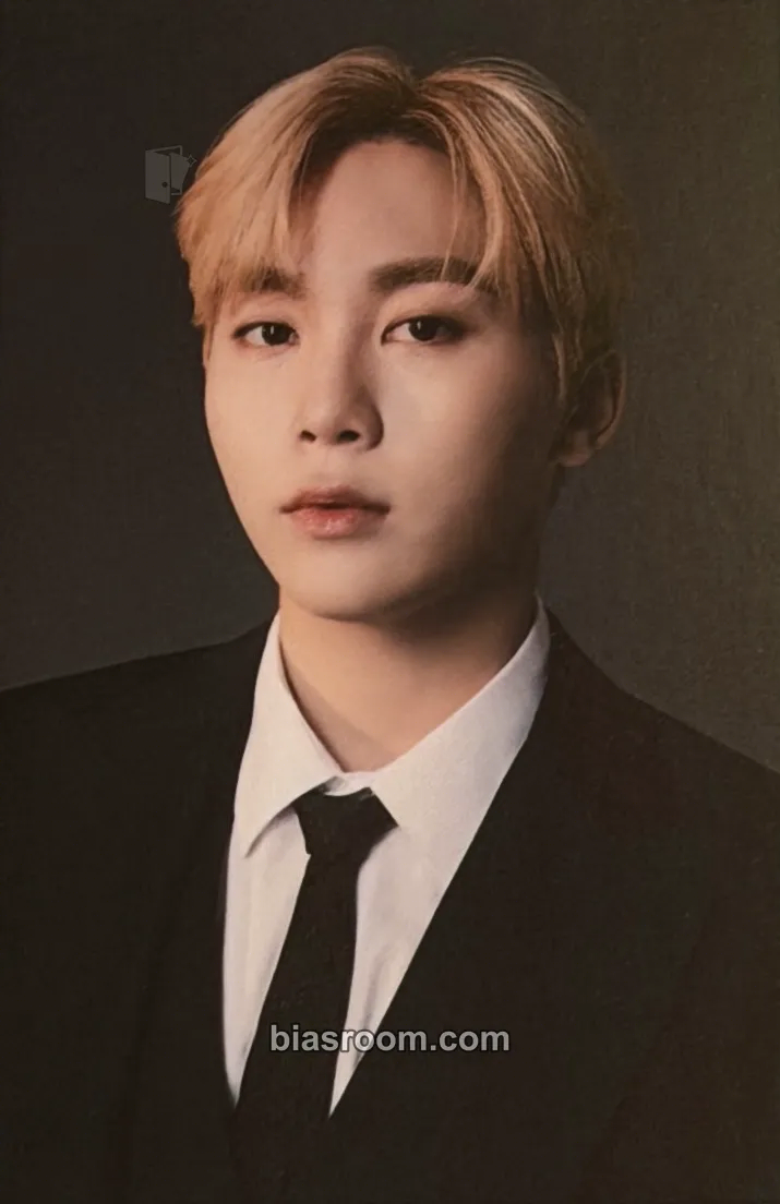 Seungkwan Birthday Boxes/Merch Photocard - SEVENTEEN - SEVENTEEN K-pop photocard