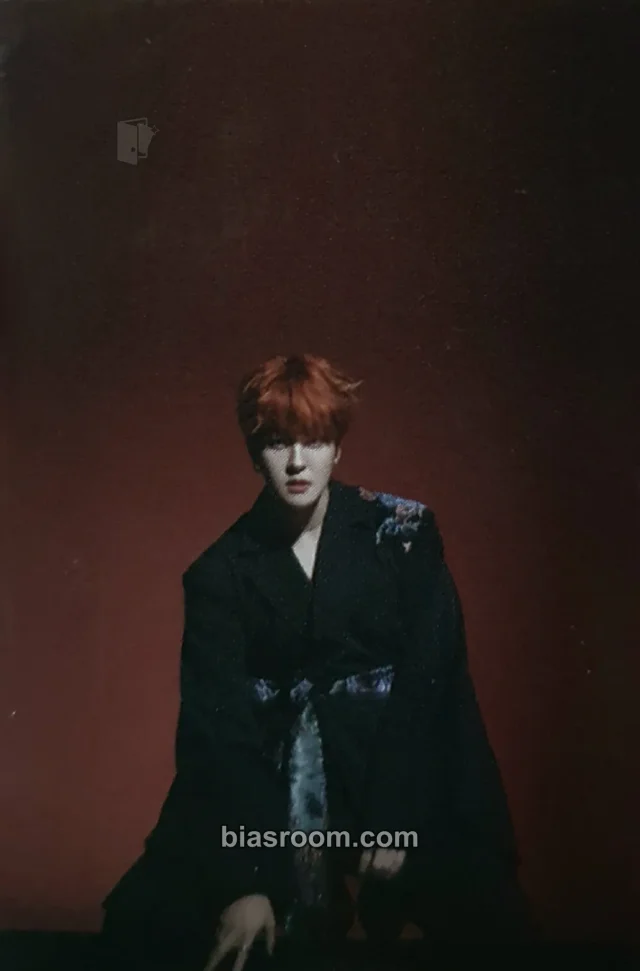 The Kingdom - Louis - History of Kingdom : PartⅥ. Mujin Album mini photocard album inclusion