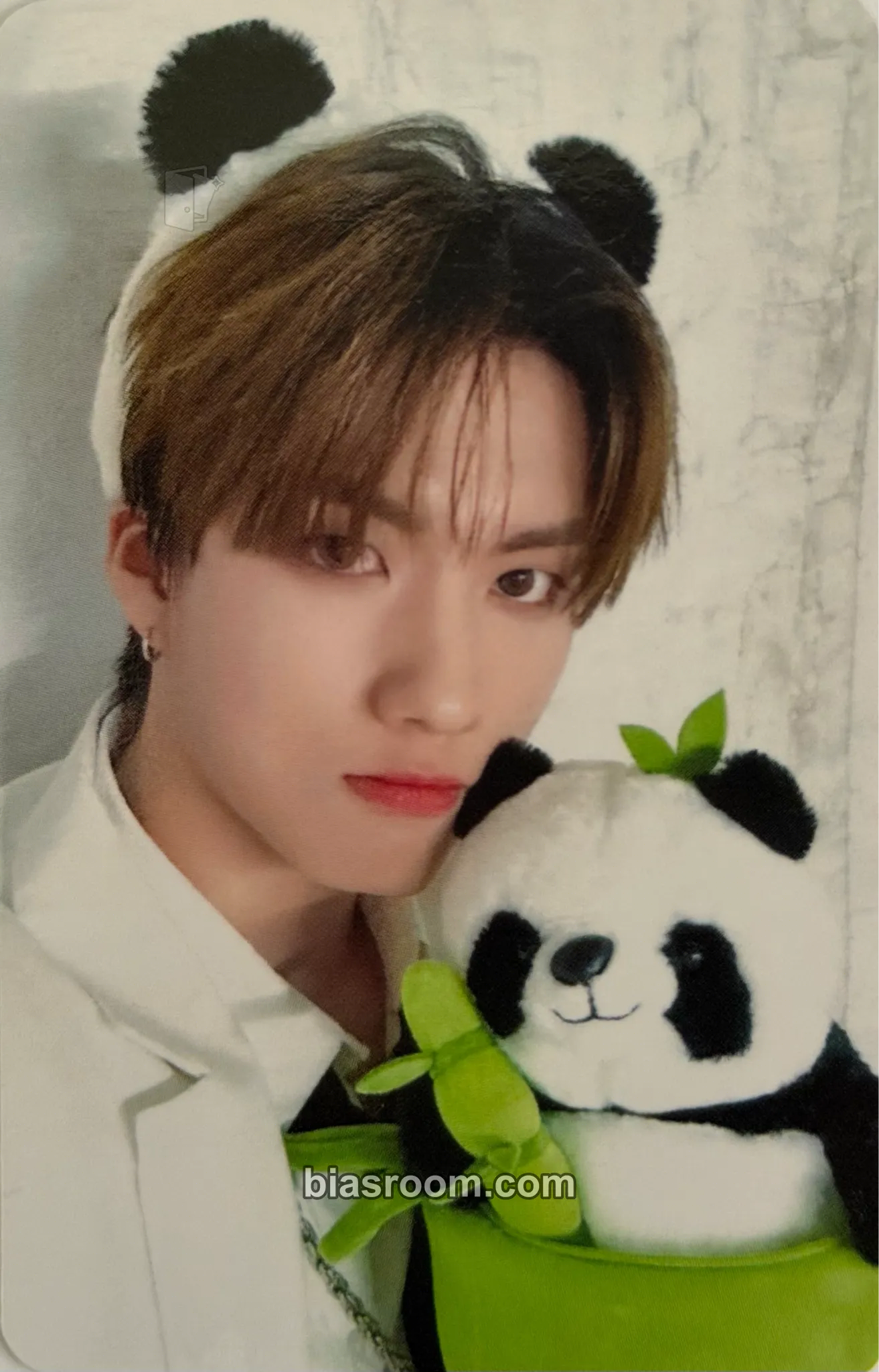 Hankook Yechan Birthday Events Photocard - TRENDZ - TRENDZ K-pop photocard