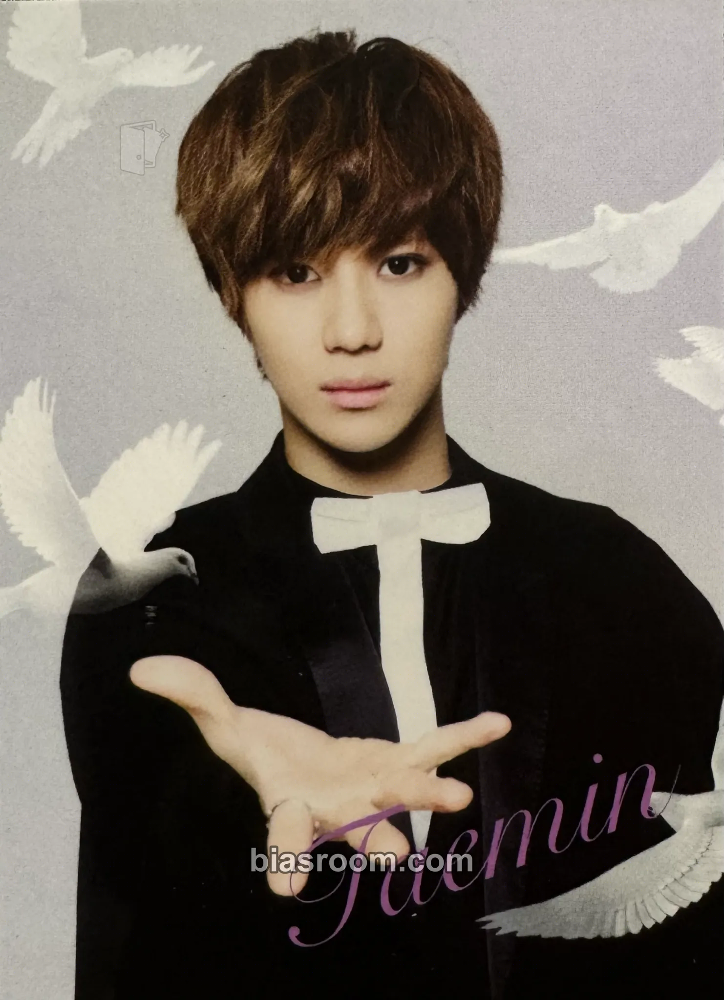Taemin SHINee in Wonderland Photocard - SHINee - SHINee K-pop photocard