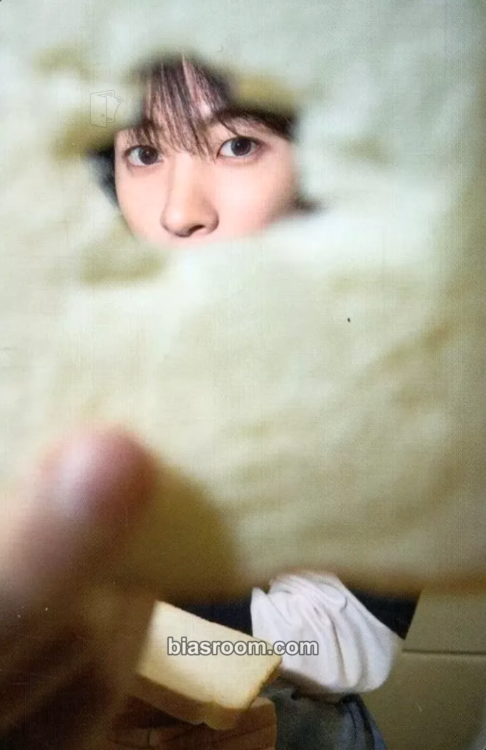 Anton All of You Photocard - RIIZE - RIIZE K-pop photocard