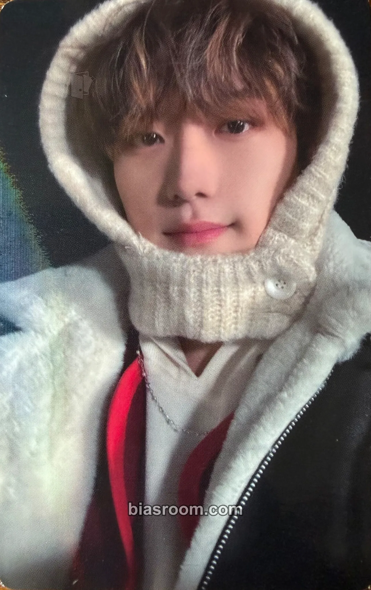 Siwoo 2024 JUSTB Voice Poca Mini Calendar Photocard - JustB - JustB K-pop photocard