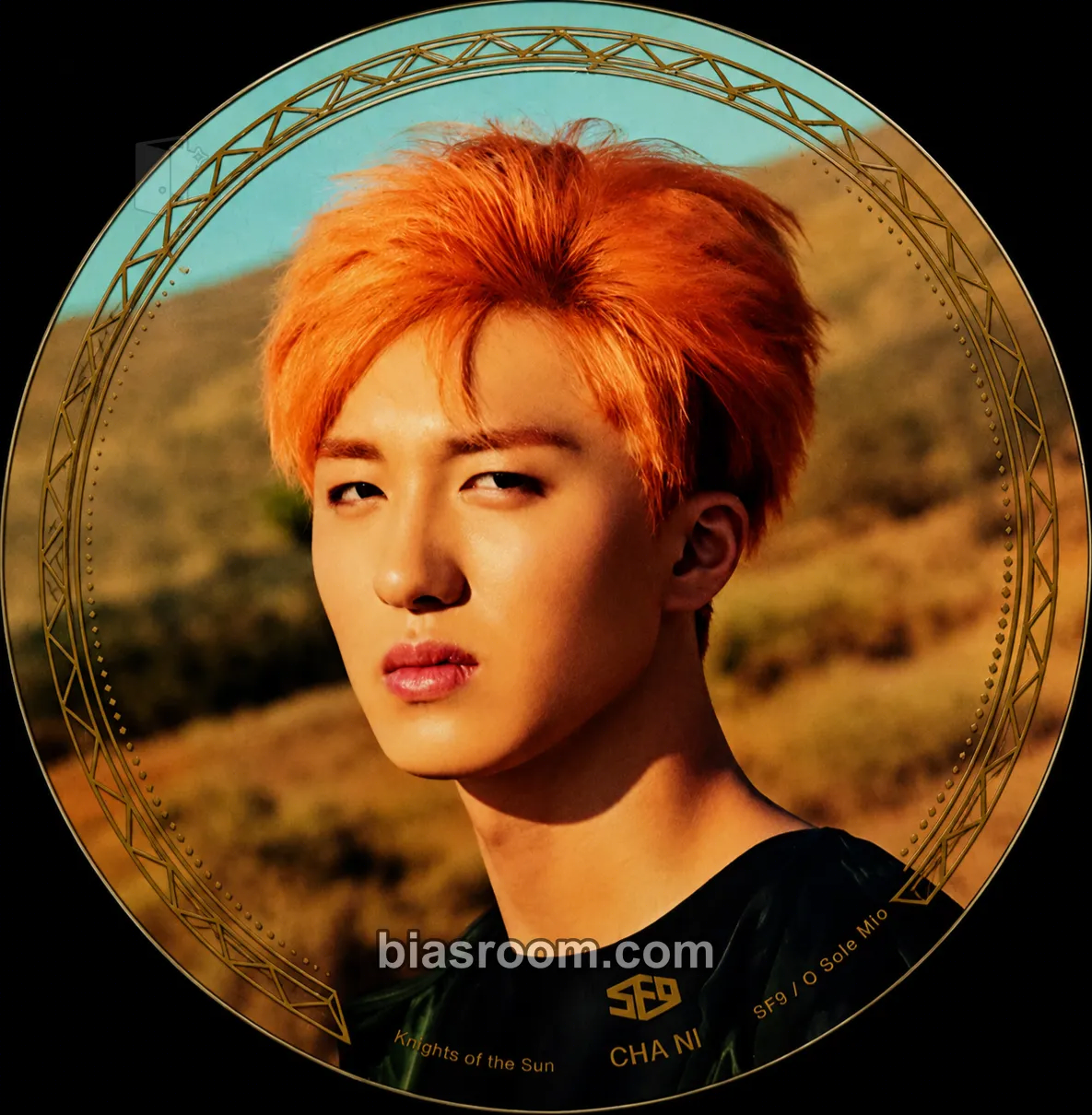 Chani Knights of the Sun Photocard - SF9 - SF9 K-pop photocard