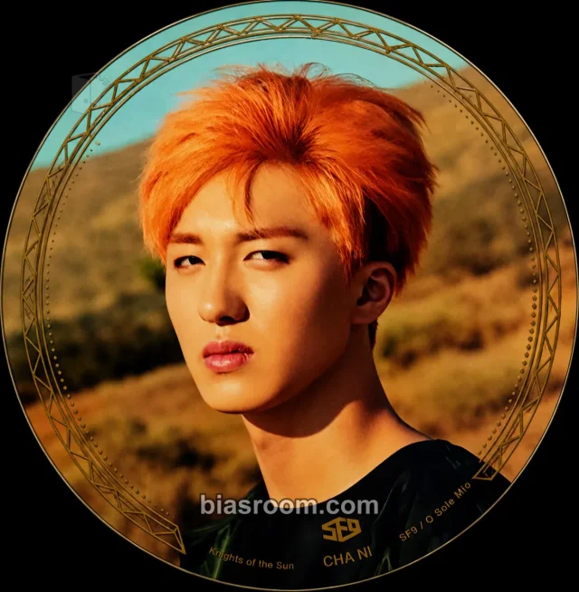 SF9 - Chani - Knights of the Sun Album translucent circle card album inclusion