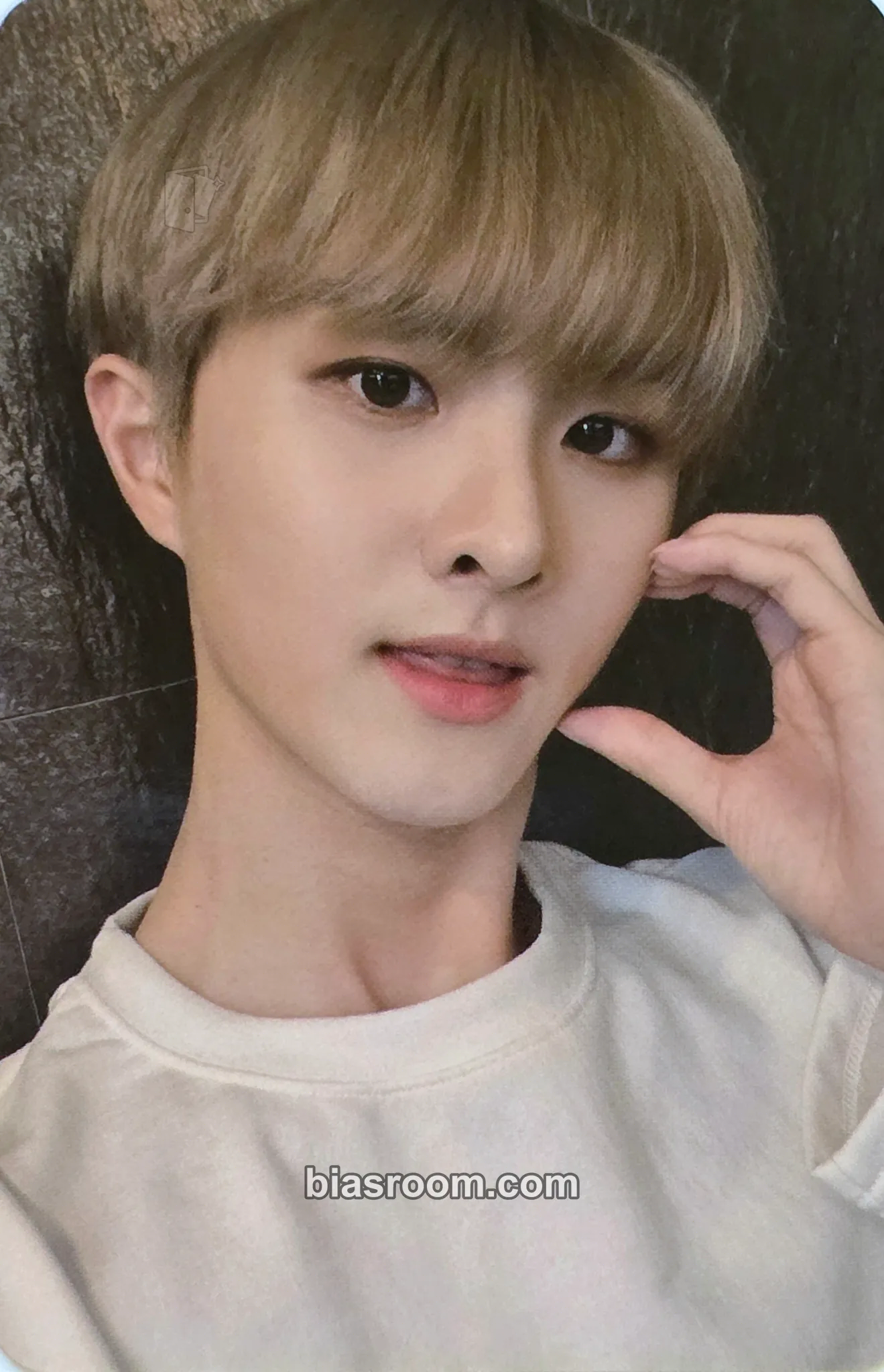 Ivan History of Kingdom : PartⅤ. Louis Photocard - The KingDom - The KingDom K-pop photocard