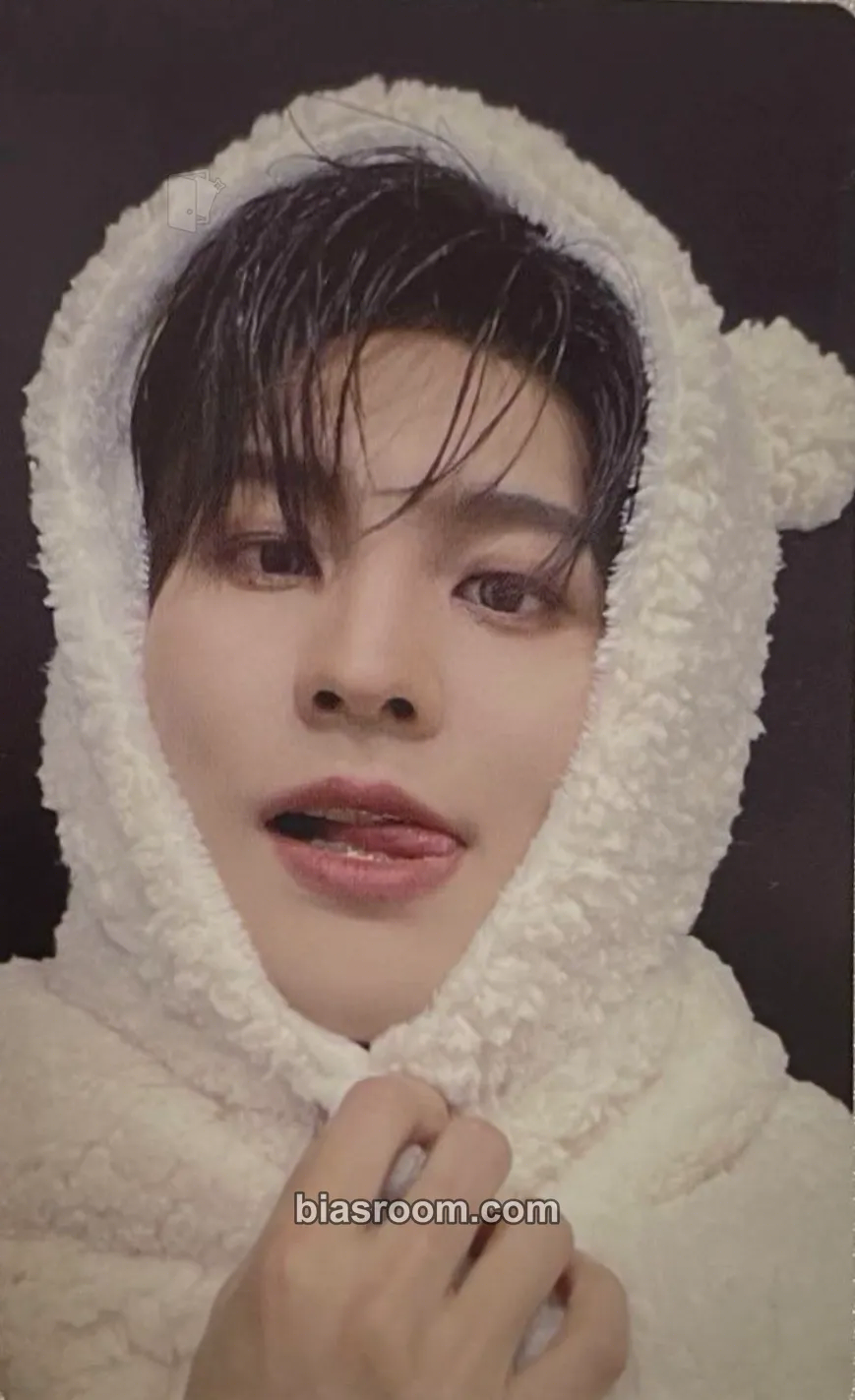 Gon CAPTURE THE FLAG Photocard - VANNER - VANNER K-pop photocard