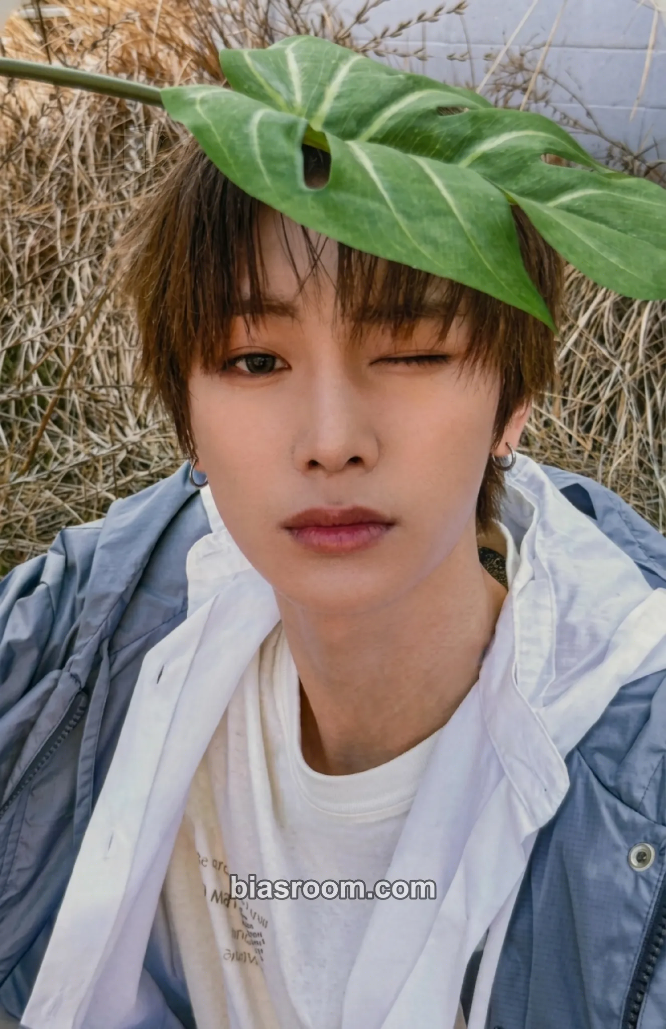 Anxin No School Tomorrow Photocard - ALPHA DRIVE ONE - ALPHA DRIVE ONE K-pop photocard