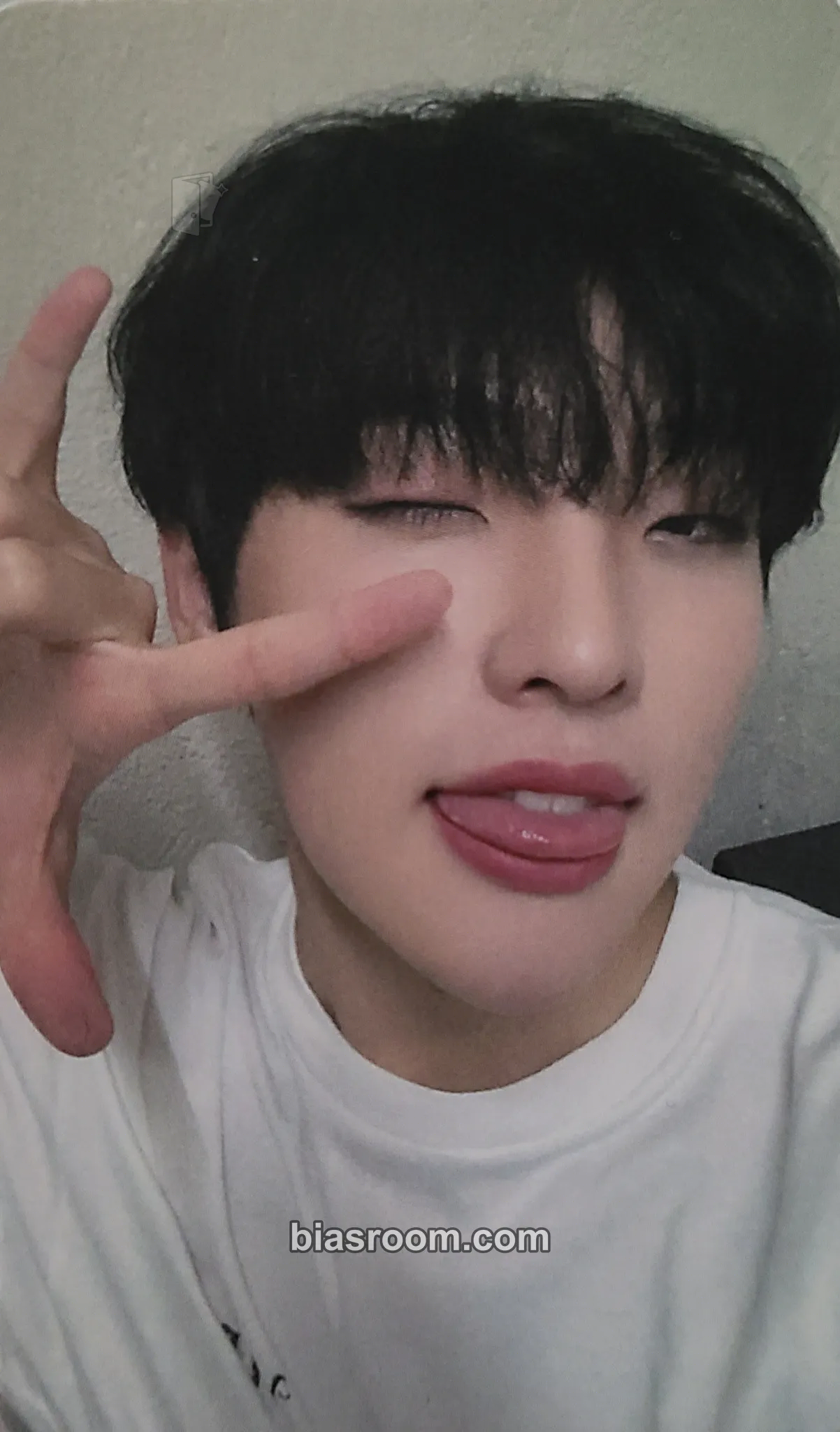Mujin History of Kingdom : PartⅦ. Jahan Photocard - The KingDom - The KingDom K-pop photocard