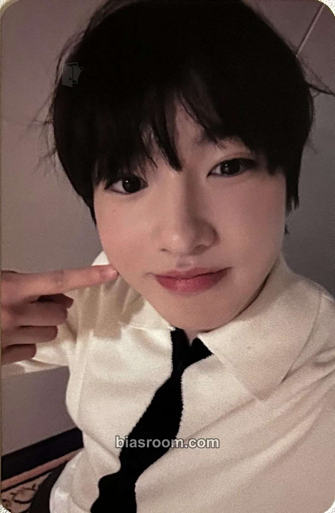 Sakuya WISH Photocard - NCT WISH - NCT WISH K-pop photocard
