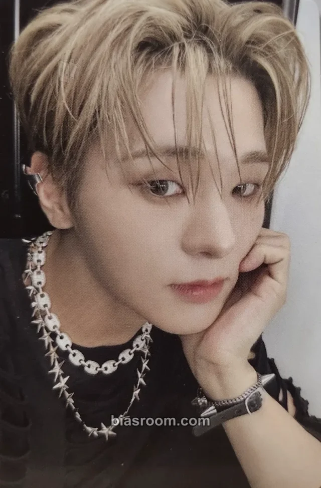 VANNER - Hyesung - Burn Album album photocard sparkle version