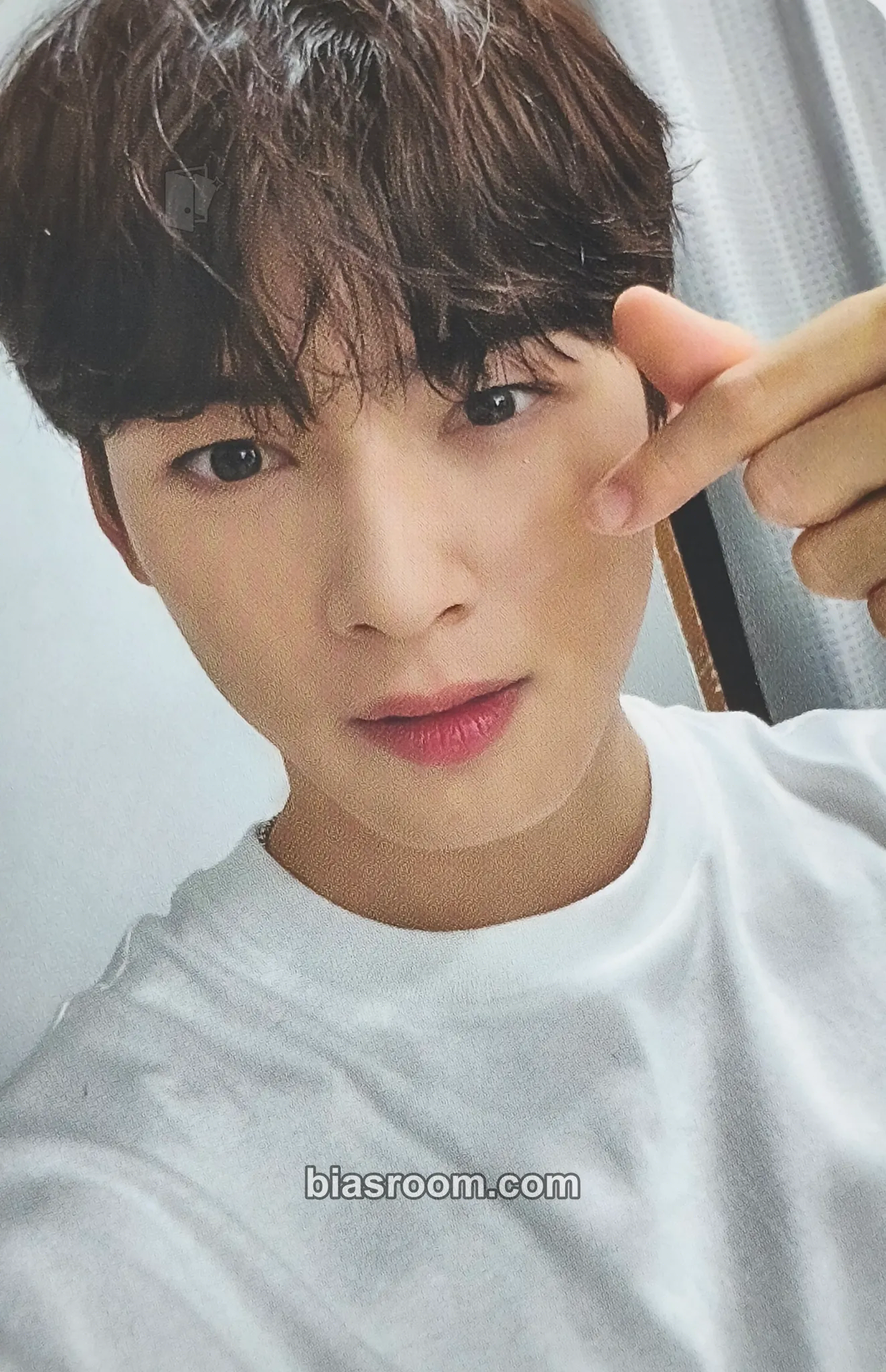 Cha Eun-woo 2023 Cha Eun-woo (ASTRO) Photo Exhibition 'archive.' Photocard - ASTRO - ASTRO K-pop photocard