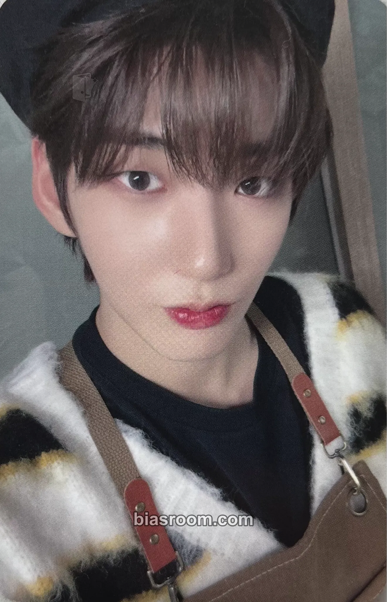 Hwon History of Kingdom : PartⅦ. Jahan Photocard - The KingDom - The KingDom K-pop photocard