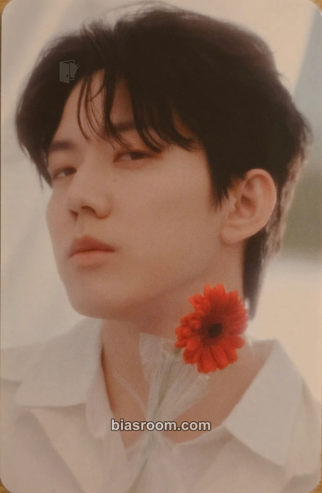 Dowoon DAY6 4th Fanmeeting - Pier 10 : All My Days Photocard - DAY6 - DAY6 K-pop photocard