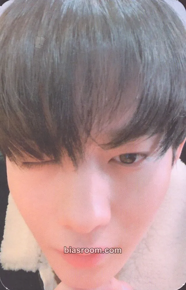 Jinyoung 1st Official Fanclub Kit Photocard - Bae Jinyoung - Bae Jinyoung K-pop photocard