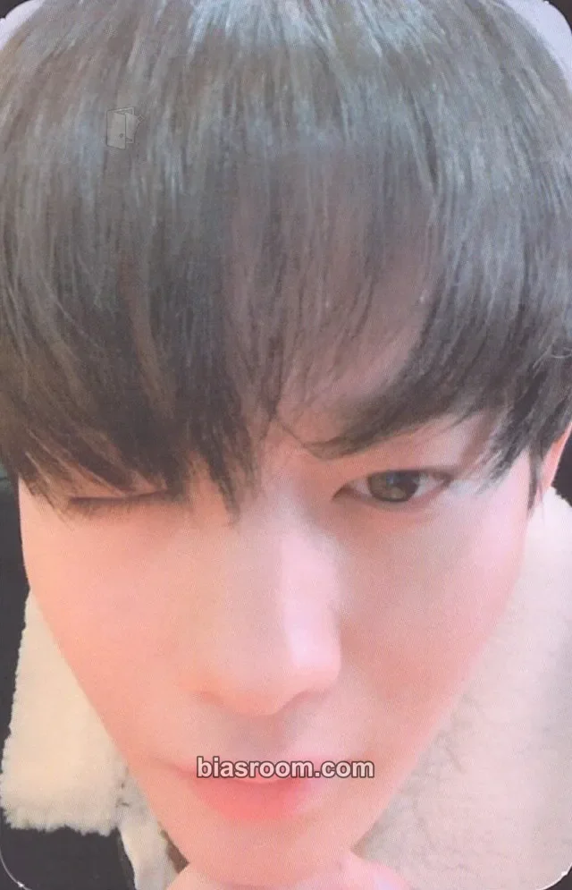 Bae Jinyoung - Jinyoung - 1st Official Fanclub Kit Other photocard set