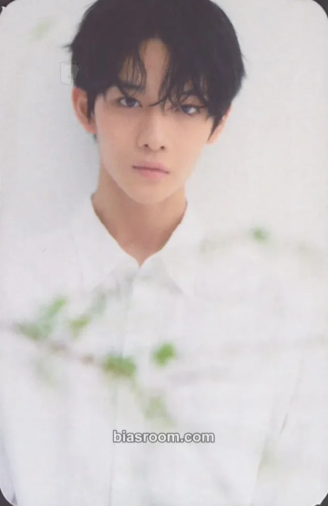 Bae Jinyoung - Jinyoung - 1st Official Fanclub Kit Other photocard set