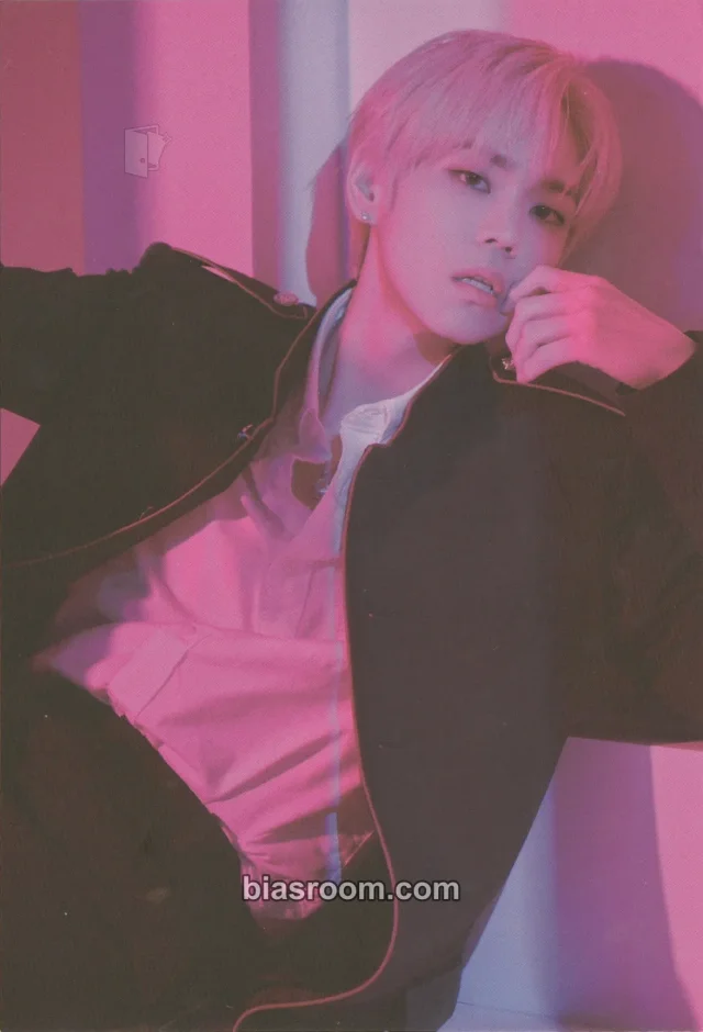 ENOi - Laon - RED in the Apple Album postcard