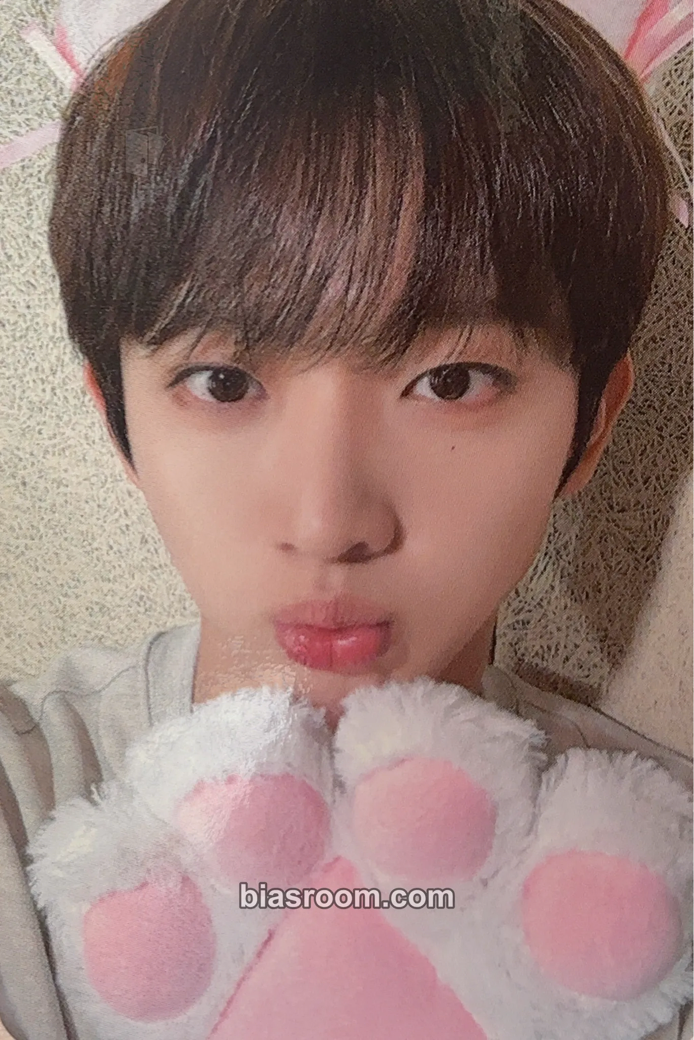Seungeon LOVE ANECDOTE(S) Photocard - EVNNE - EVNNE K-pop photocard