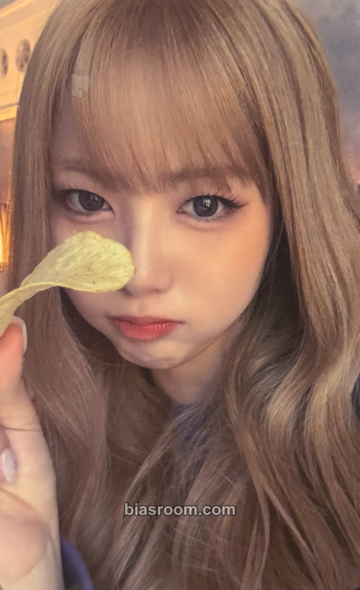 Ireh FESTA Photocard - PURPLE KISS - PURPLE KISS K-pop photocard