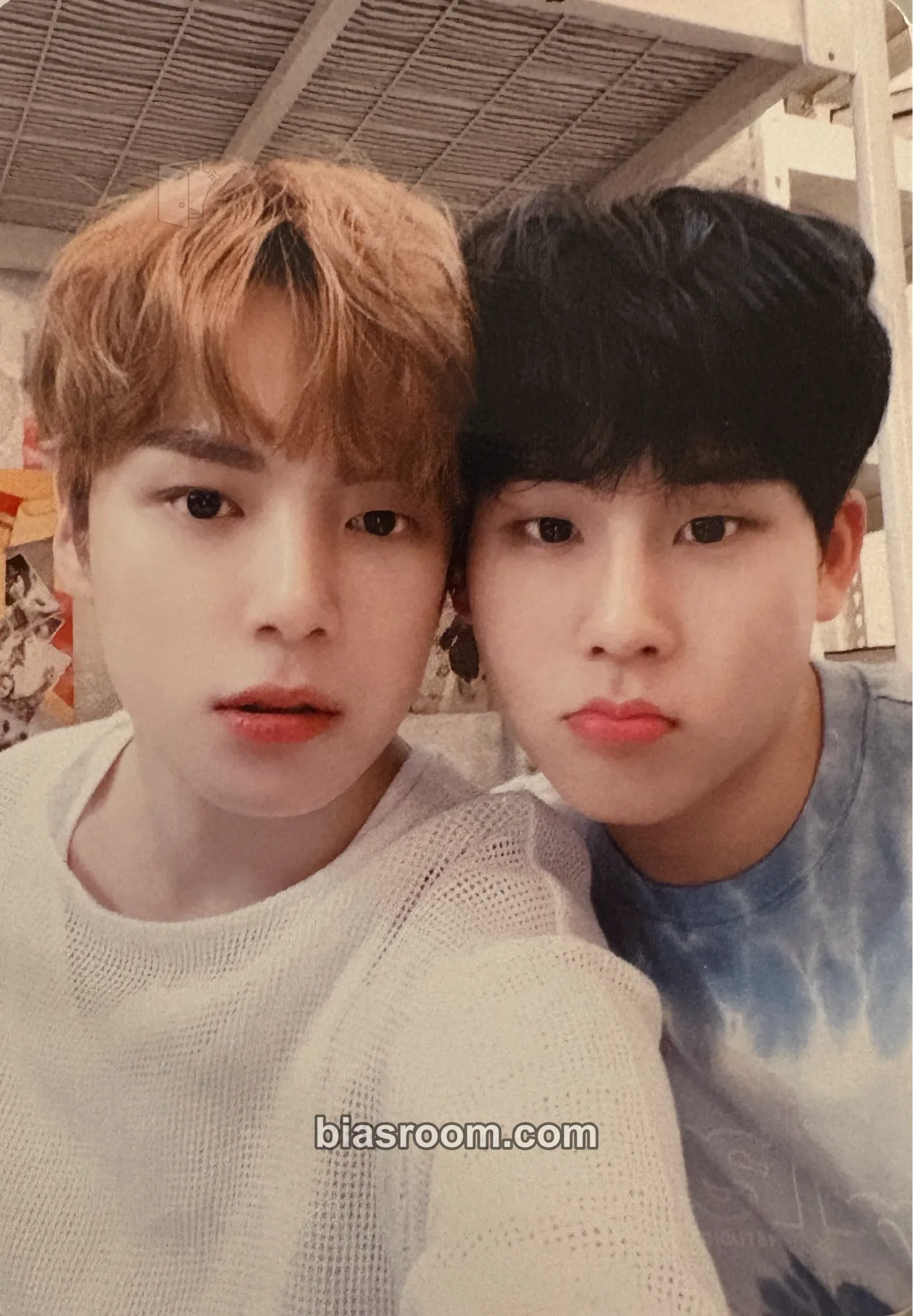 2020 Photobooks (Comma & Xiesta) Photocard - MONSTA X - MONSTA X K-pop photocard