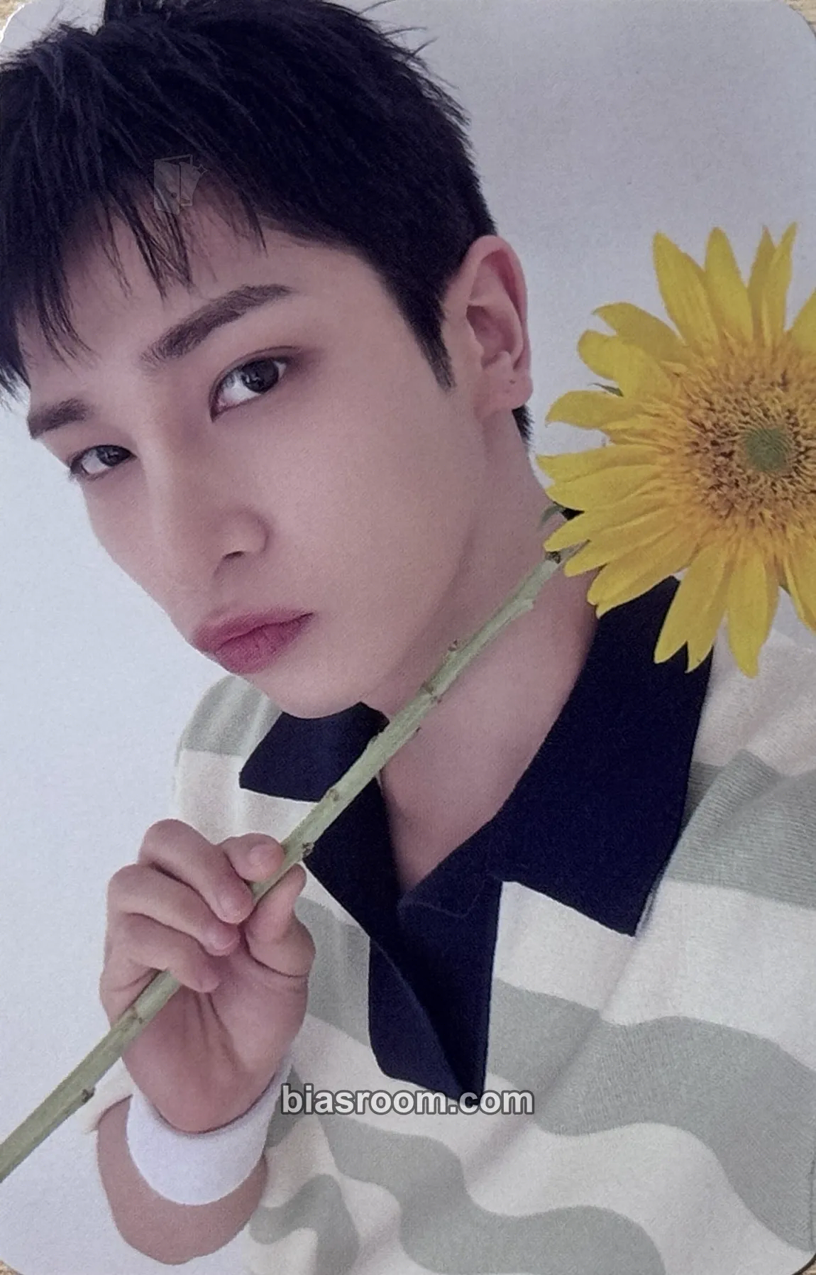 Hangyul ITTABOOK Photocard - BAE173 - BAE173 K-pop photocard