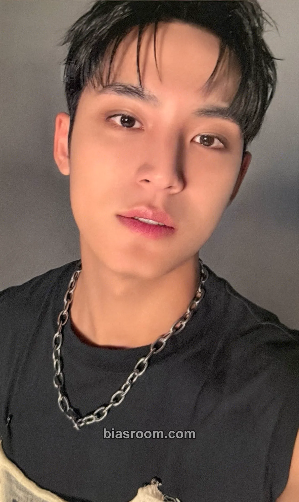 Mingyu Spill the Feels Photocard - SEVENTEEN - SEVENTEEN K-pop photocard