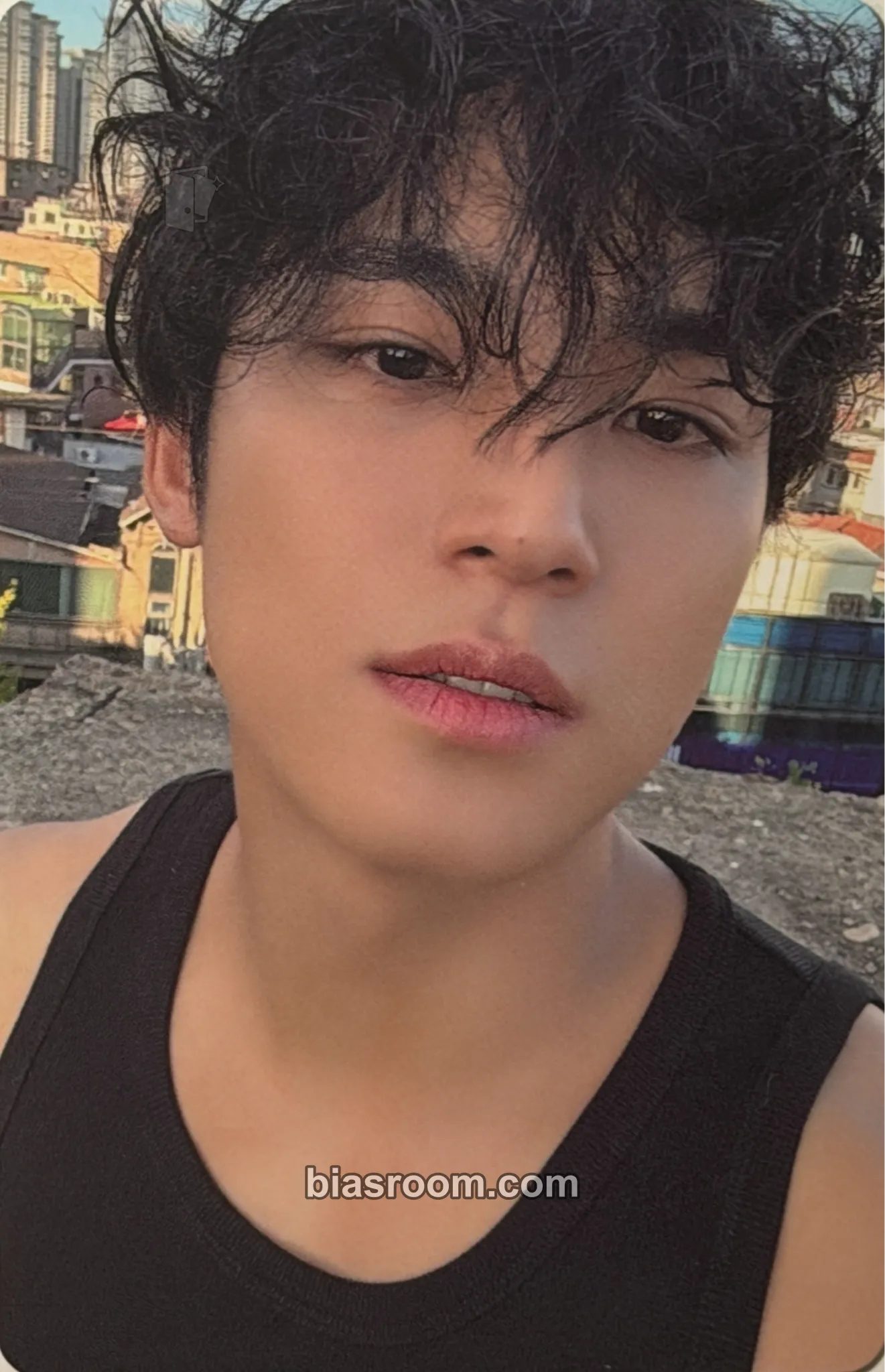 Mingyu Spill the Feels Photocard - SEVENTEEN - SEVENTEEN K-pop photocard