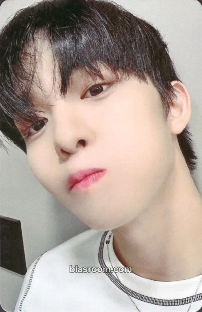Jinyoung Curtain Call Fanmeeting Photocard - CIX - CIX K-pop photocard