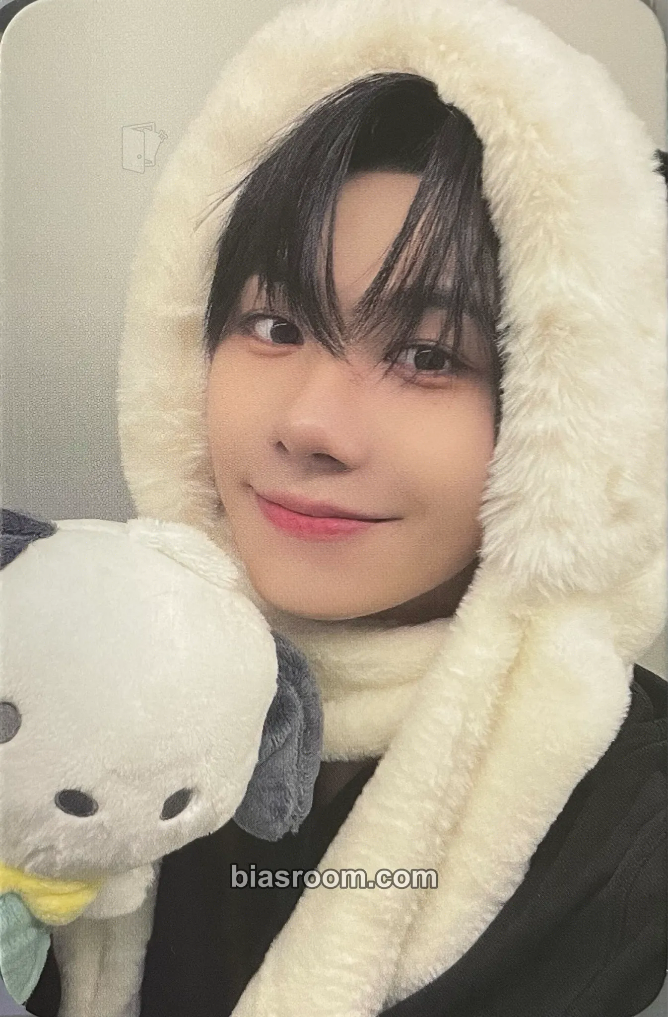 Han Photocards (AHOF) | Bias Room