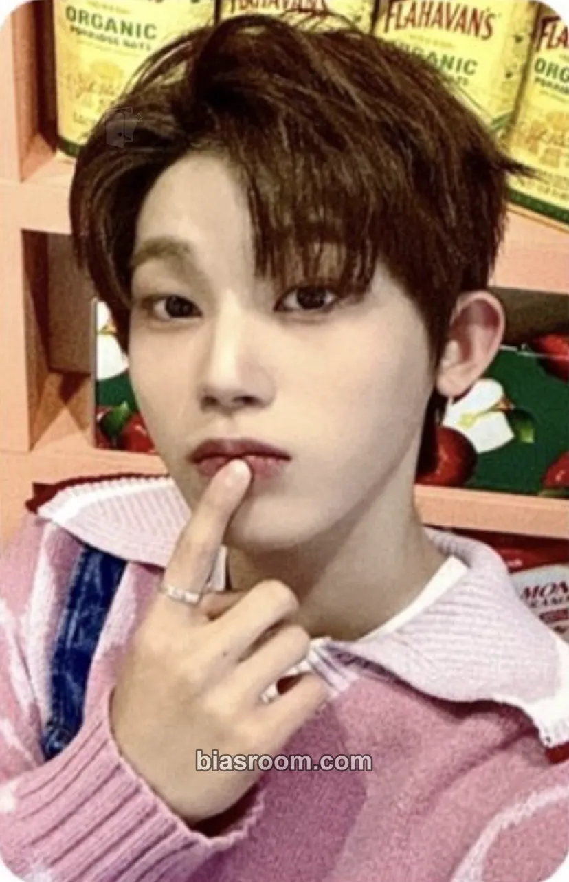 Choi Hanbin Season’s Greetings 2025 - The Wind Market Photocard - The Wind - The Wind K-pop photocard