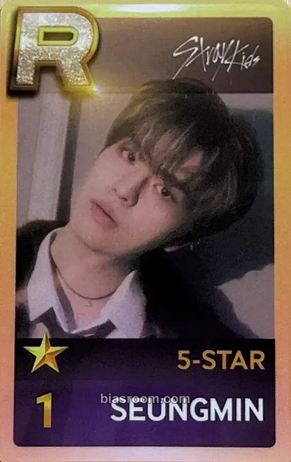 Seungmin 5-Star Dome Tour 2023 Photocard - Stray Kids - Stray Kids K-pop photocard