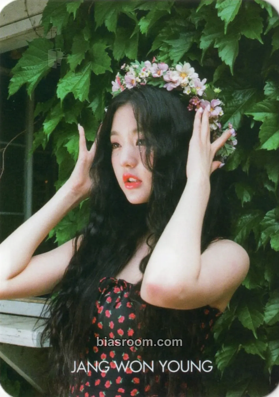 Wonyoung DICON VOLUME 8 “LOOK AT MY iZ” Photocard - IZ*ONE - IZ*ONE K-pop photocard