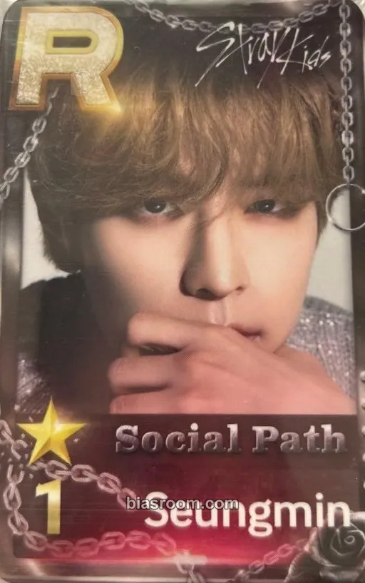 Seungmin 5-Star Dome Tour 2023 Photocard - Stray Kids - Stray Kids K-pop photocard