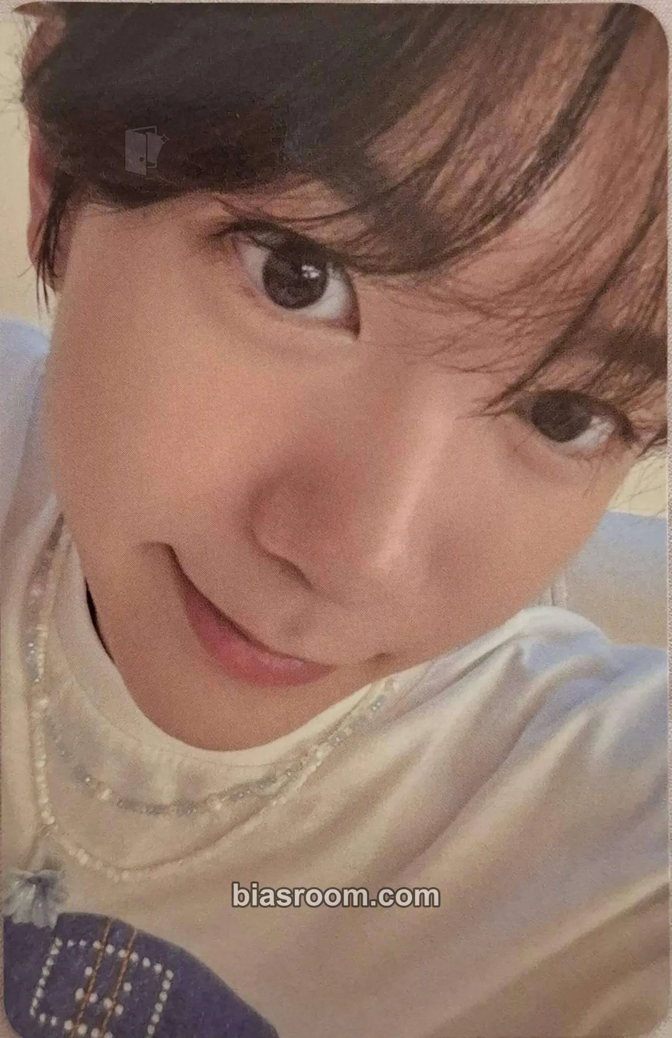 Ryo Steady Photocard - NCT WISH - NCT WISH K-pop photocard