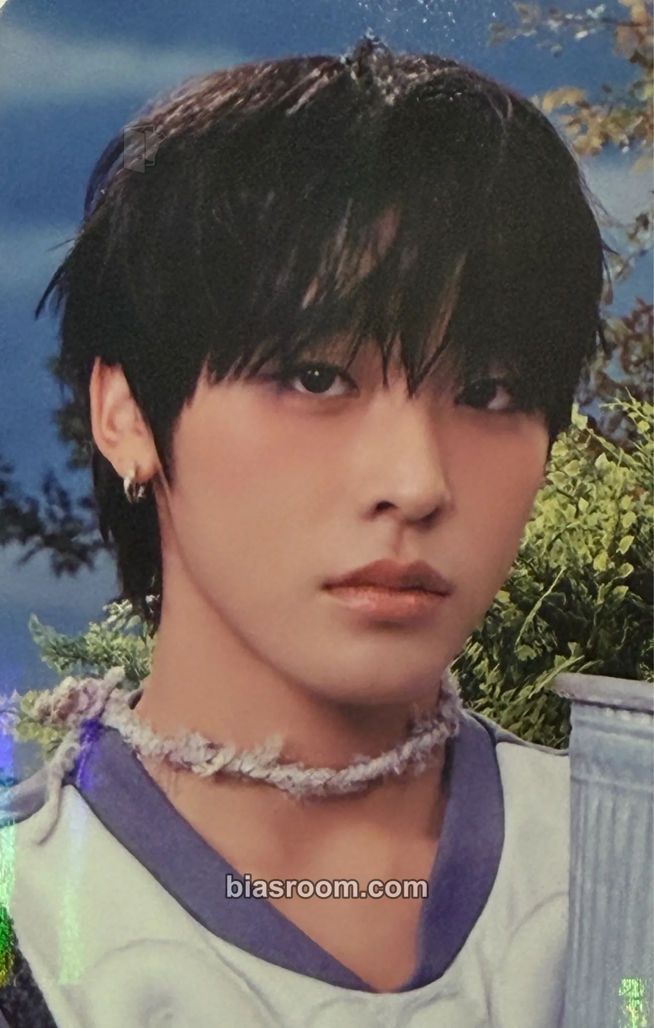 Riku COLOR Photocard - NCT WISH - NCT WISH K-pop photocard